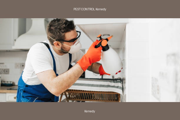 PEST CONTROL Kenedy